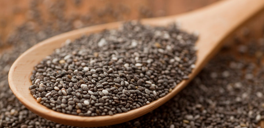 Spotlight on Chia Seeds