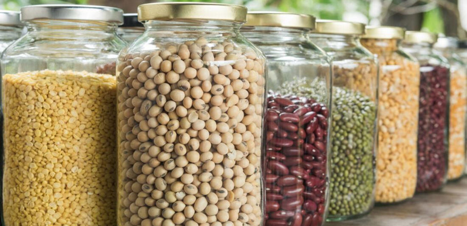 Ten best sources of plant protein